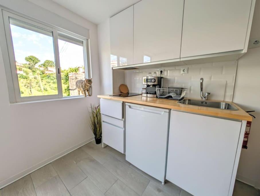 Estudio Vila Isabel - B Coimbra Dış mekan fotoğraf